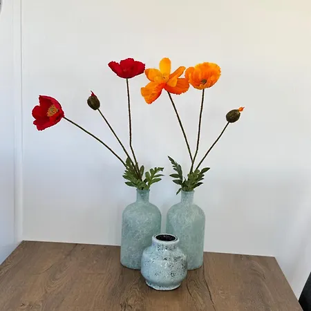 Prachtig Zonnestraal Camping