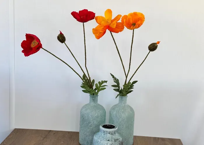 Accomadatie Zonnestraal Camping